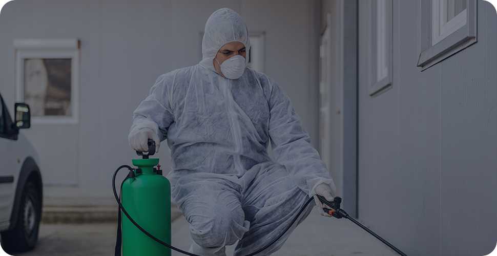Pest control London - food attracts pests