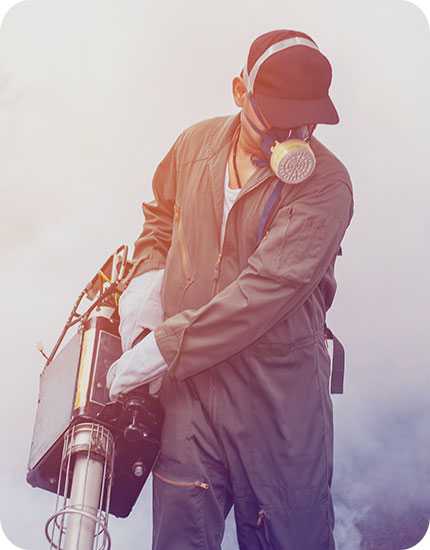 Pest control London - mosquito control