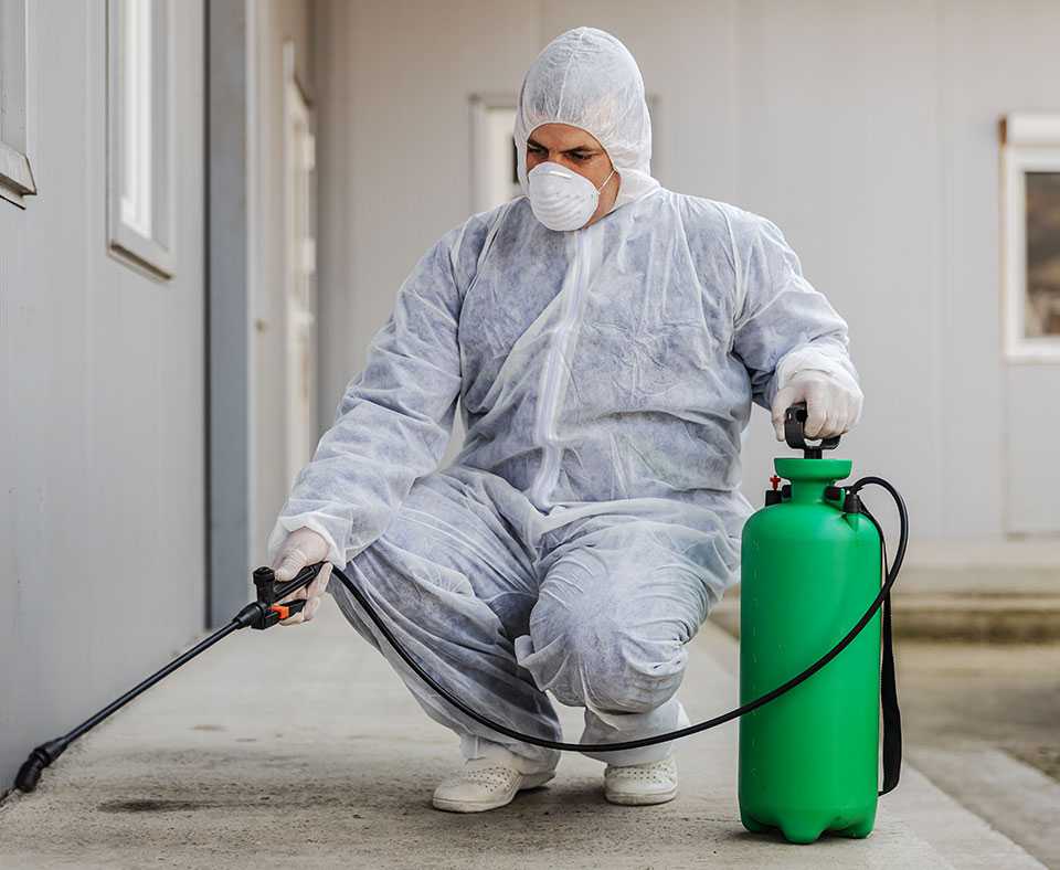 Pest control London - professional tools